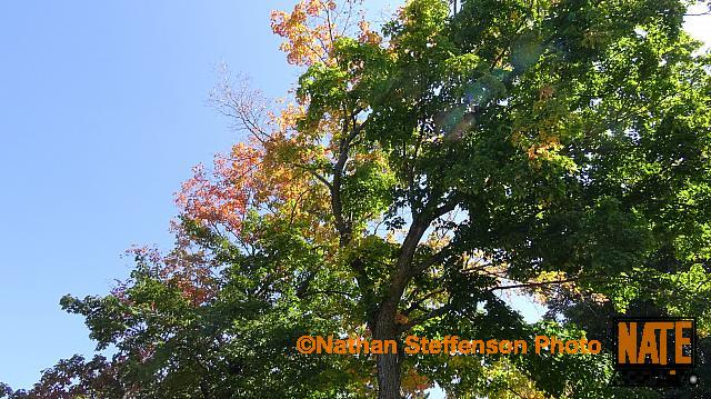 DSC02526