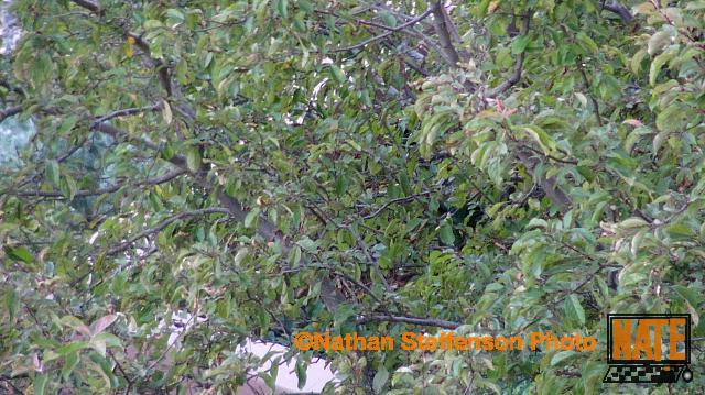 DSC01959