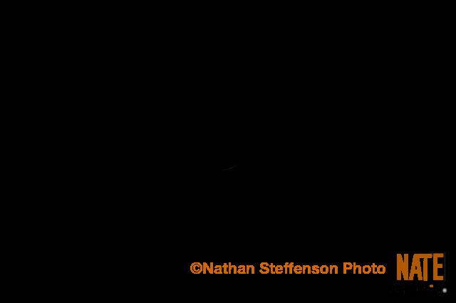 IMG 9552