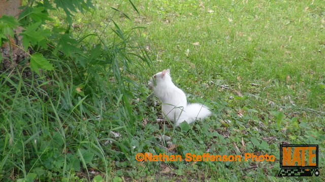 DSC00485