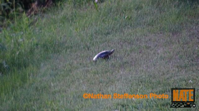 DSC04030