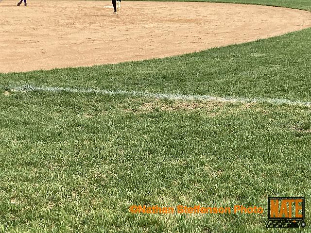 IMG 1652