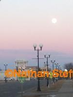 IMG 7993